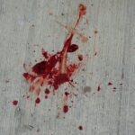 Blood