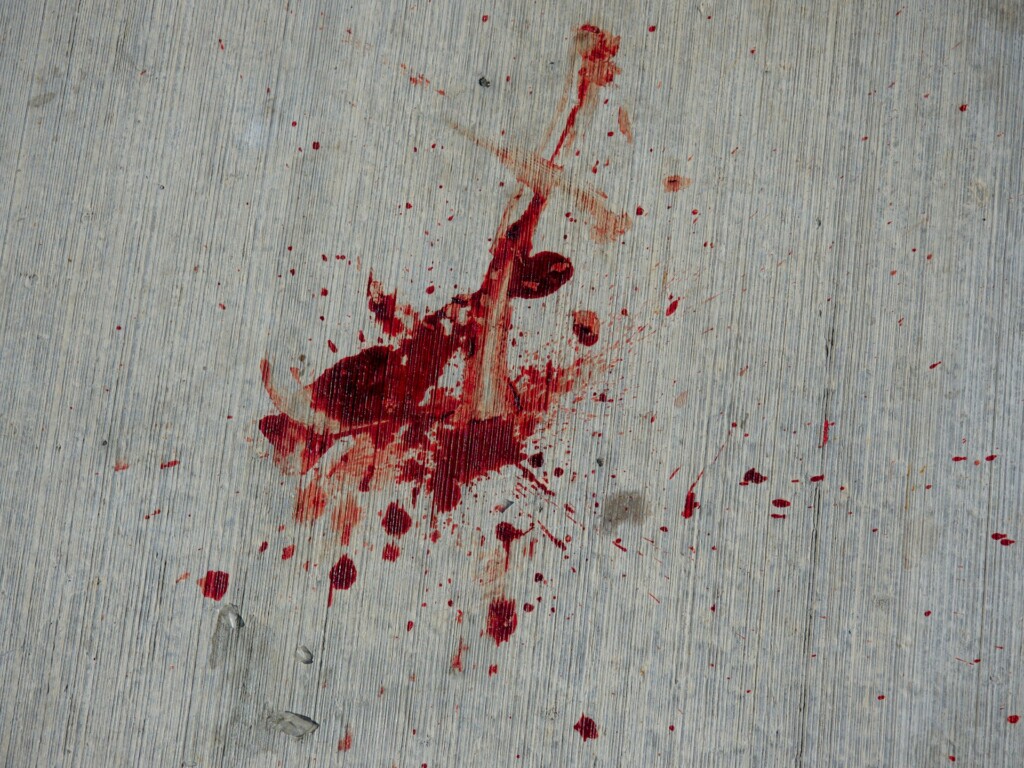 Blood