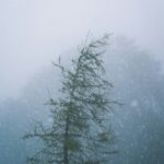 Snowstorm