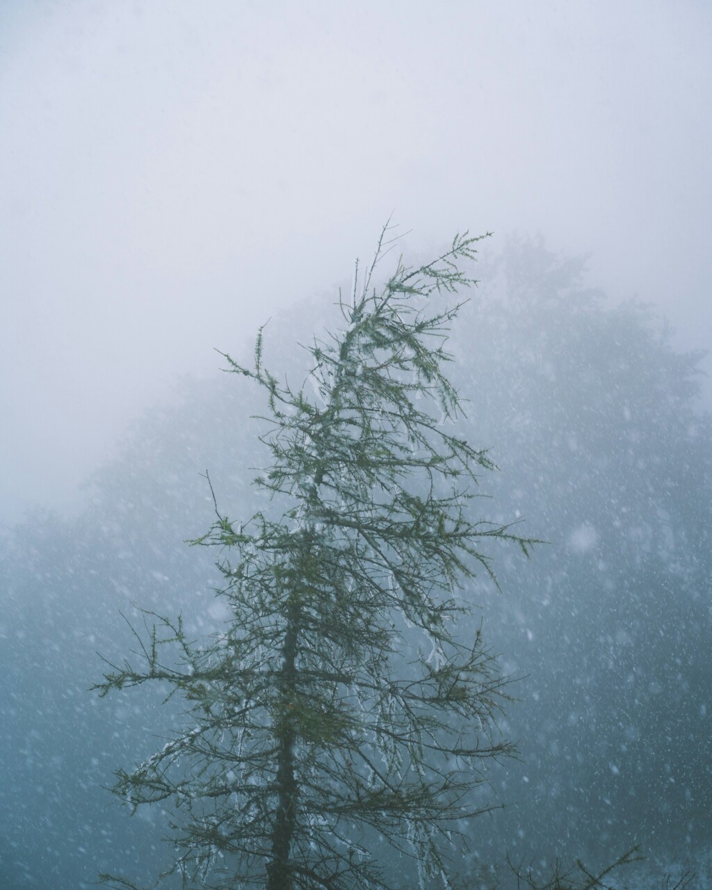 Snowstorm