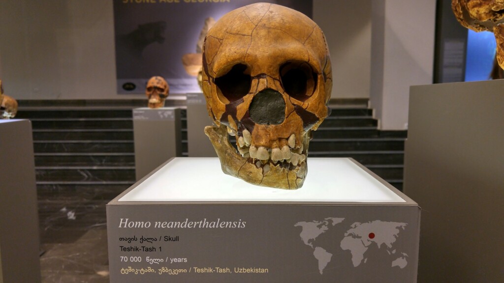 Neandertalare